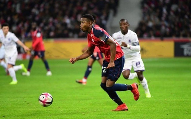 闻中掀起热 闻中掀起热