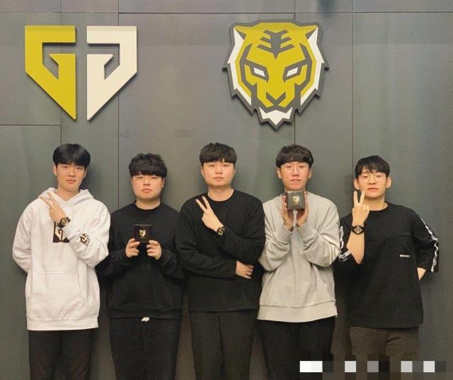 发展充满期 发展充满期