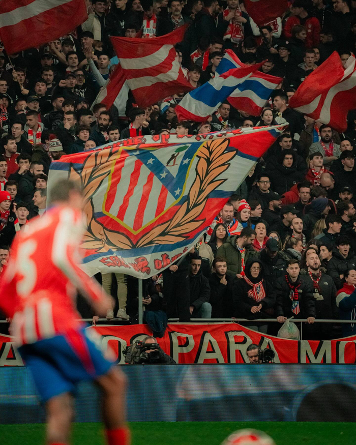 网前压制 网前压制