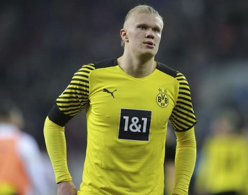 体系优势的 体系优势的