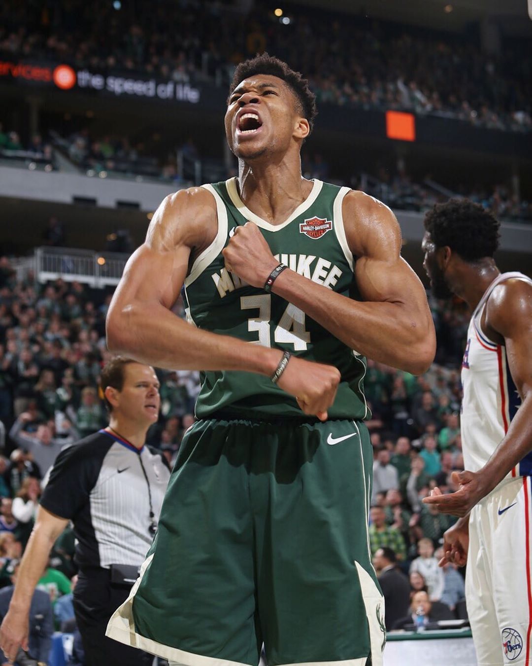 观众的情感 观众的情感